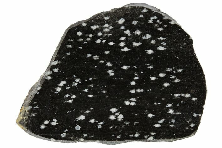 Polished Snowflake Obsidian Section - Utah #114205